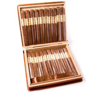 Diploma Brown
