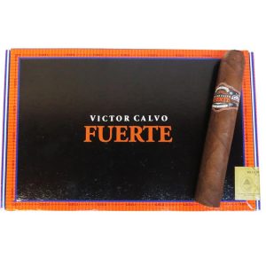 Victor Calvo Fuerte