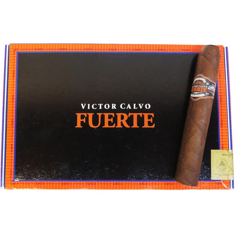 Victor Calvo Fuerte